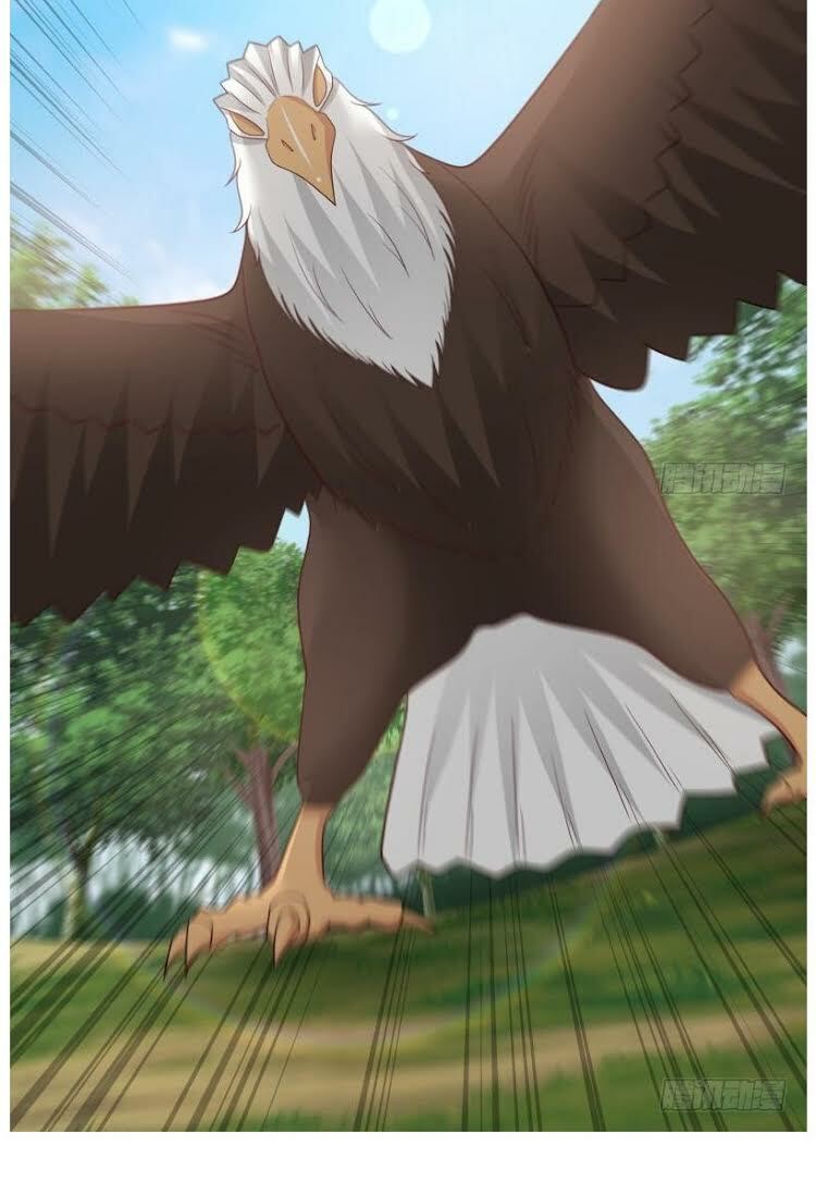 trên người ta có một rồng chapter 197 11