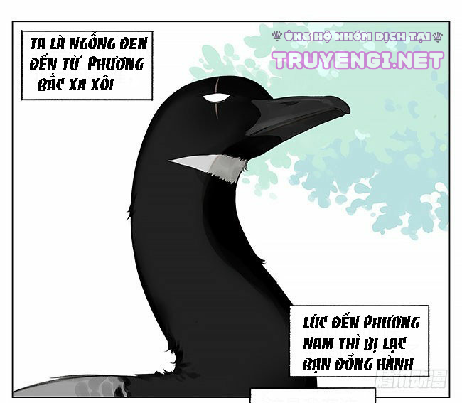 sẻ chiếu mới và nhạn phong sương chapter 5 1