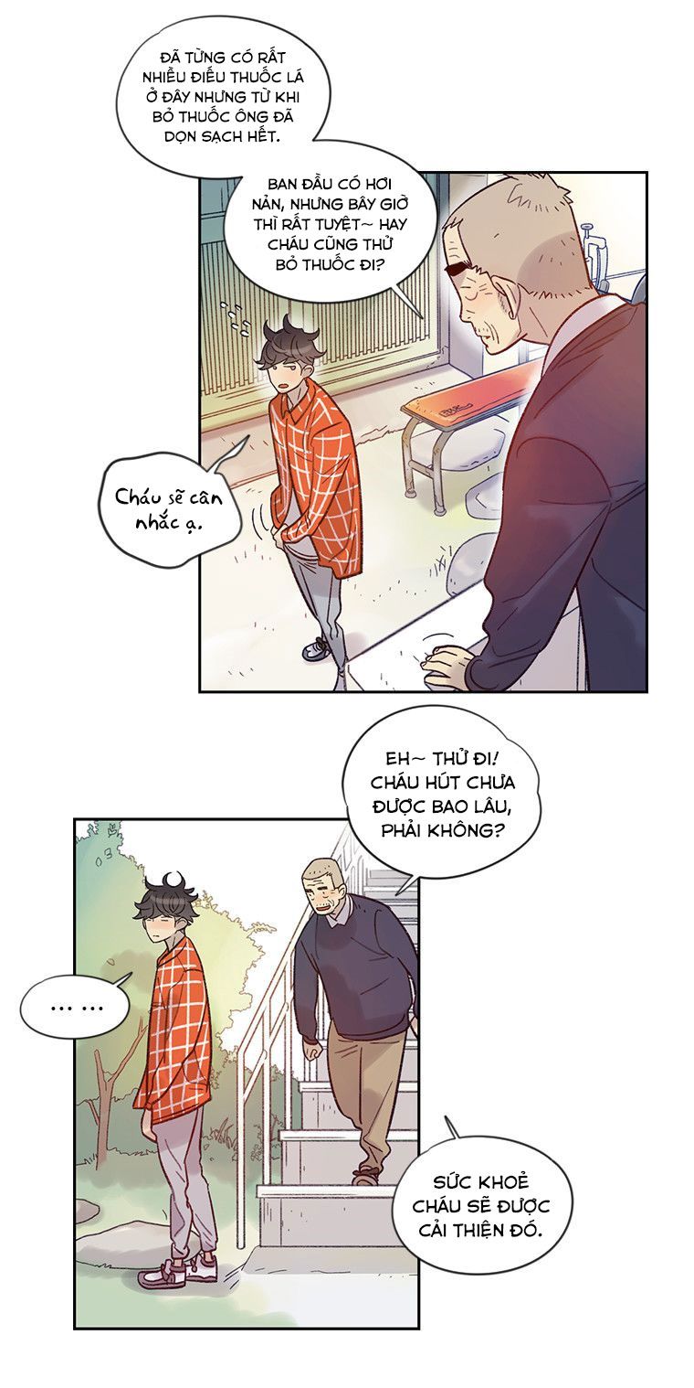 tôi muốn bay như một con bướm chapter 20 23