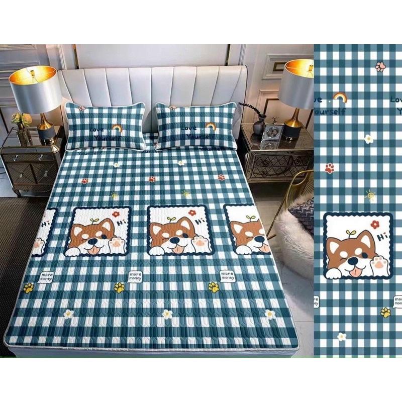 Chiếu điều hòa cao su non 5D M2T Bedding vải lụa Tencel mát cao su non Latex mềm mịn đủ kích thước m6/m8/2m2