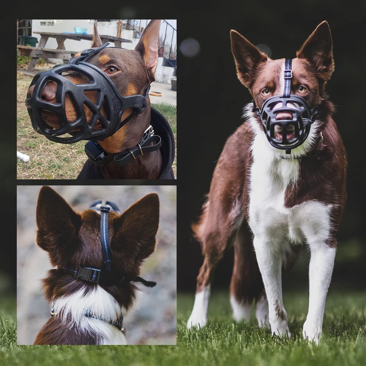 Miếng che miệng cho chó Mặt nạ chống cắn cho chó Bark Stopper, M