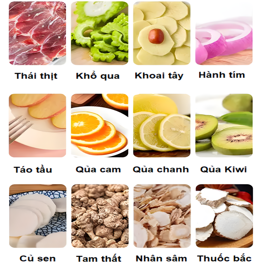 Máy thái lát rau củ quả và thịt đông lạnh tự động. Thương hiệu Anh Quốc cao cấp AOSIDA QP-D003. Hàng chính hãng