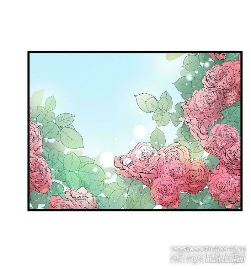 chào buổi sáng, ức vạn manh thê chapter 7 42