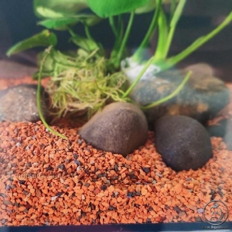 Sạn Gốm - Ceramic Soil Thuỷ Mộc | Nền Trơ Chuyên Dụng Cho Hồ Ươm Bucep, Nana... Trang Trí Bể Cá Cảnh, Thuỷ Sinh