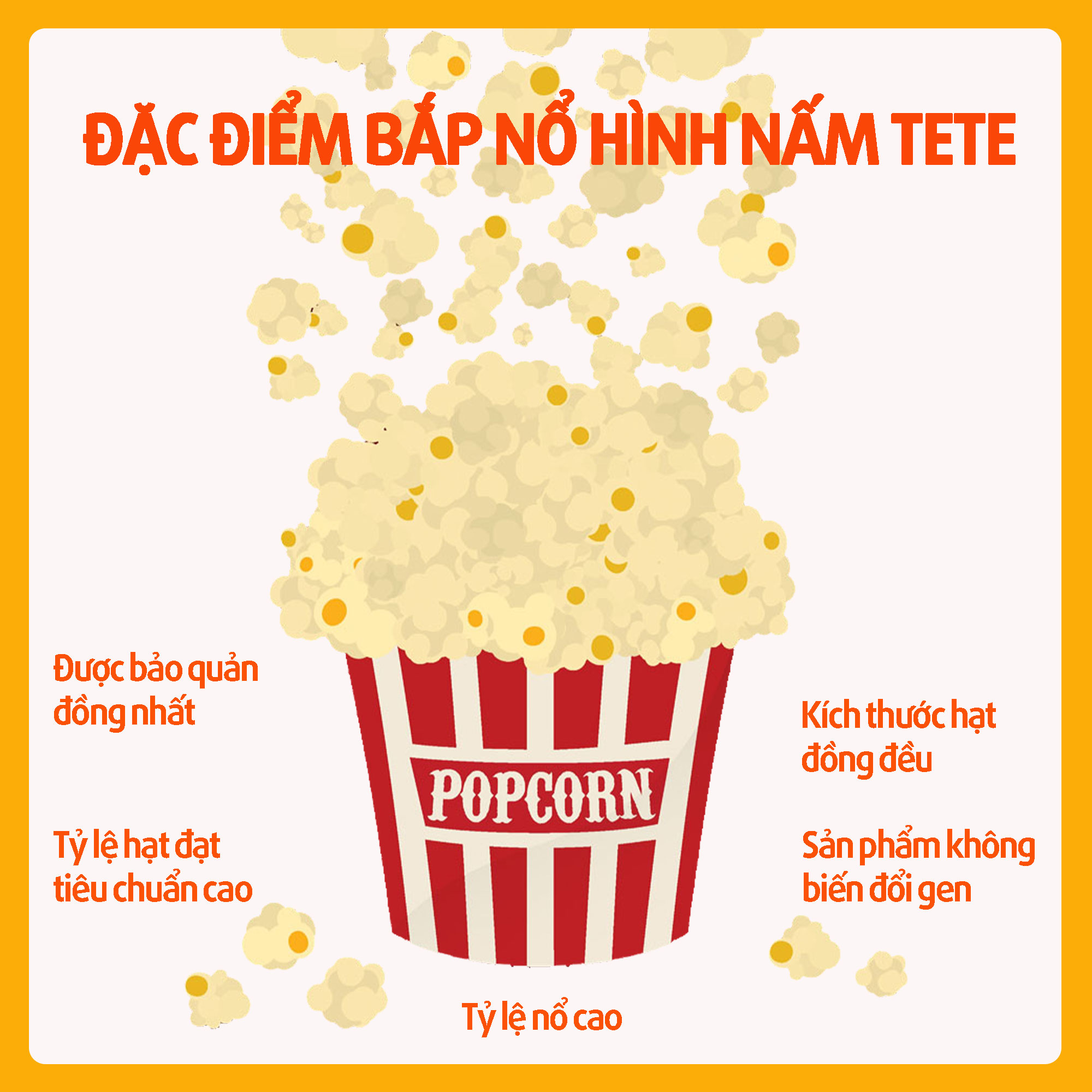 Bắp Mỹ Rang Bơ, Bắp Nỗ Rạp Chiếu Phim TETE 1kg