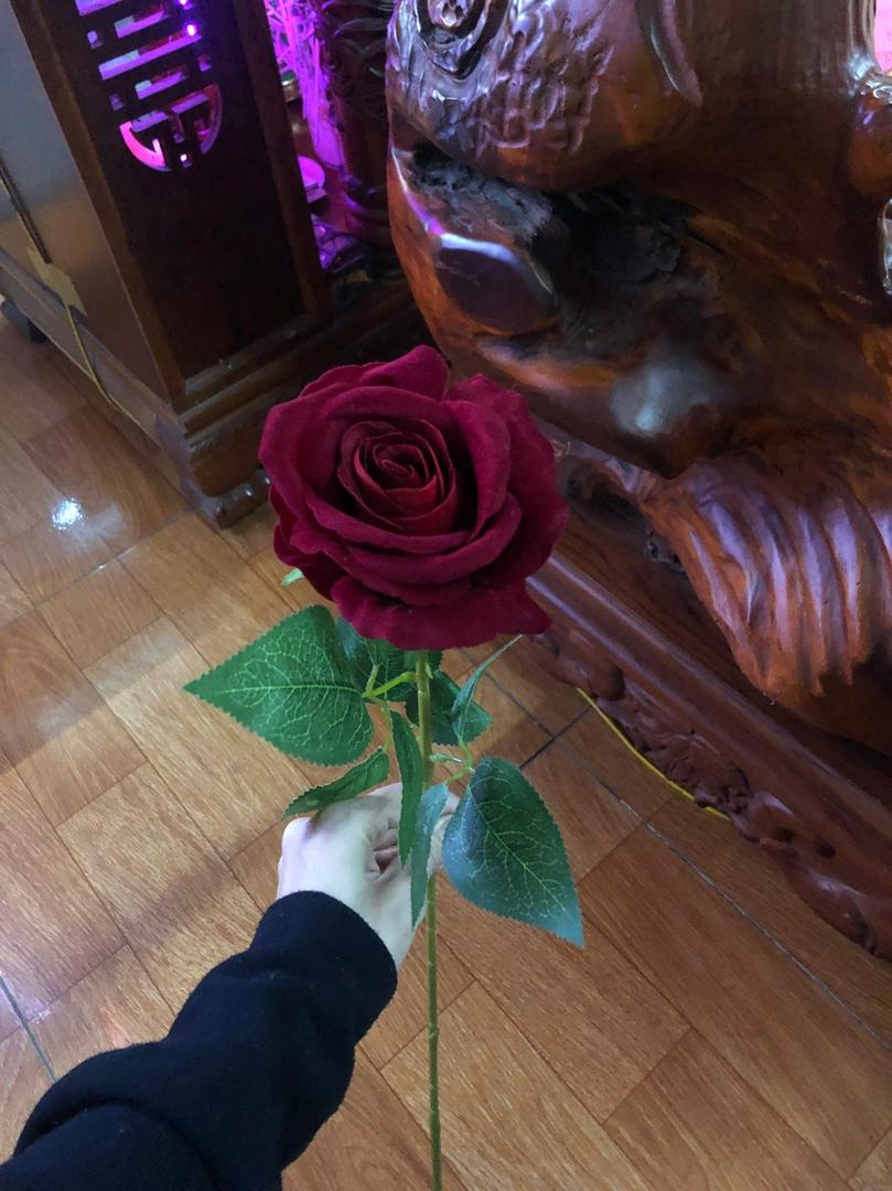Hình ảnh Set 20 cành hoa hồng nhung giả - dài 60cm - Hàng loại 1 - Cây giả, hoa lụa Decor trang trí nhà cửa
