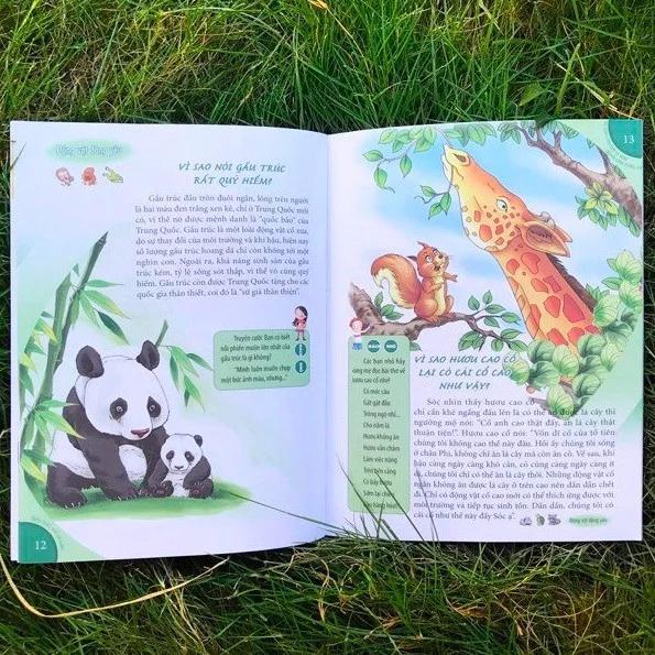 10 Vạn Câu Hỏi Vì Sao - Gấu Trúc, Voi Và Kiến - Bản Quyền