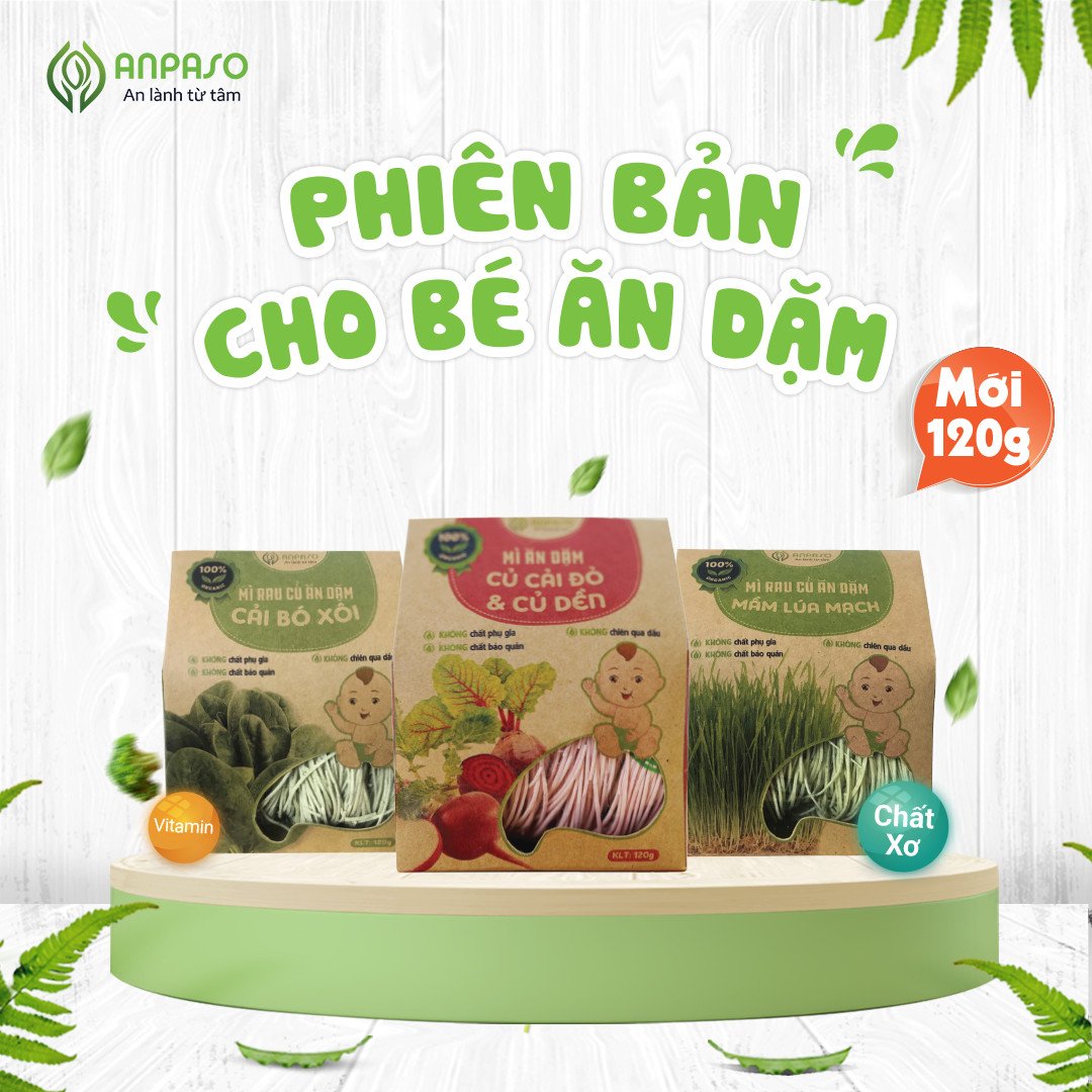 Mì Rau Củ Ăn Dặm Mầm Lúa Mạch Organic Anpaso 120g