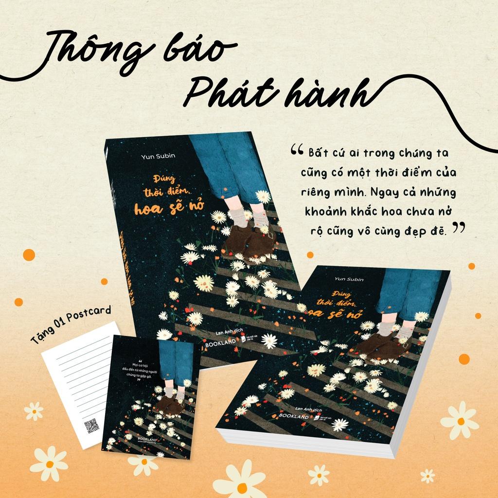 Đúng Thời Điểm Hoa Sẽ Nở - Bản Quyền