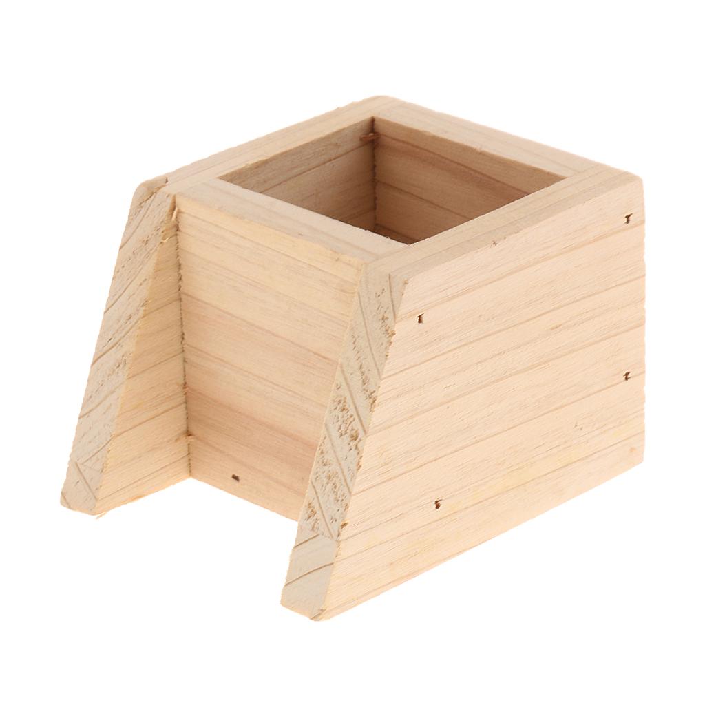 Pet Hamster, Chinchilla, Guinea Pig, Parrot Feeding Wood Bowl Square