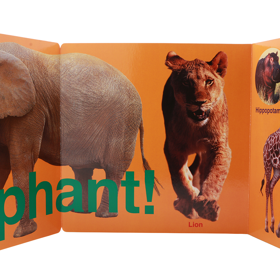 My Giant Fold-out Books Animals