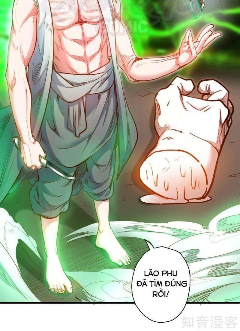 tối cường đại biểu hoàng kim thận chapter 67 28