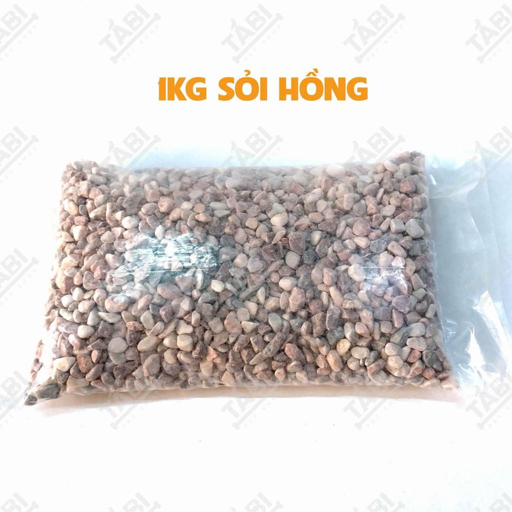 1KG Sỏi Hồng Trang Trí Hồ Cá, Bể Cá, Nhà Cửa Và Chậu Cây Cảnh [SỎI HỒNG NHỎ]