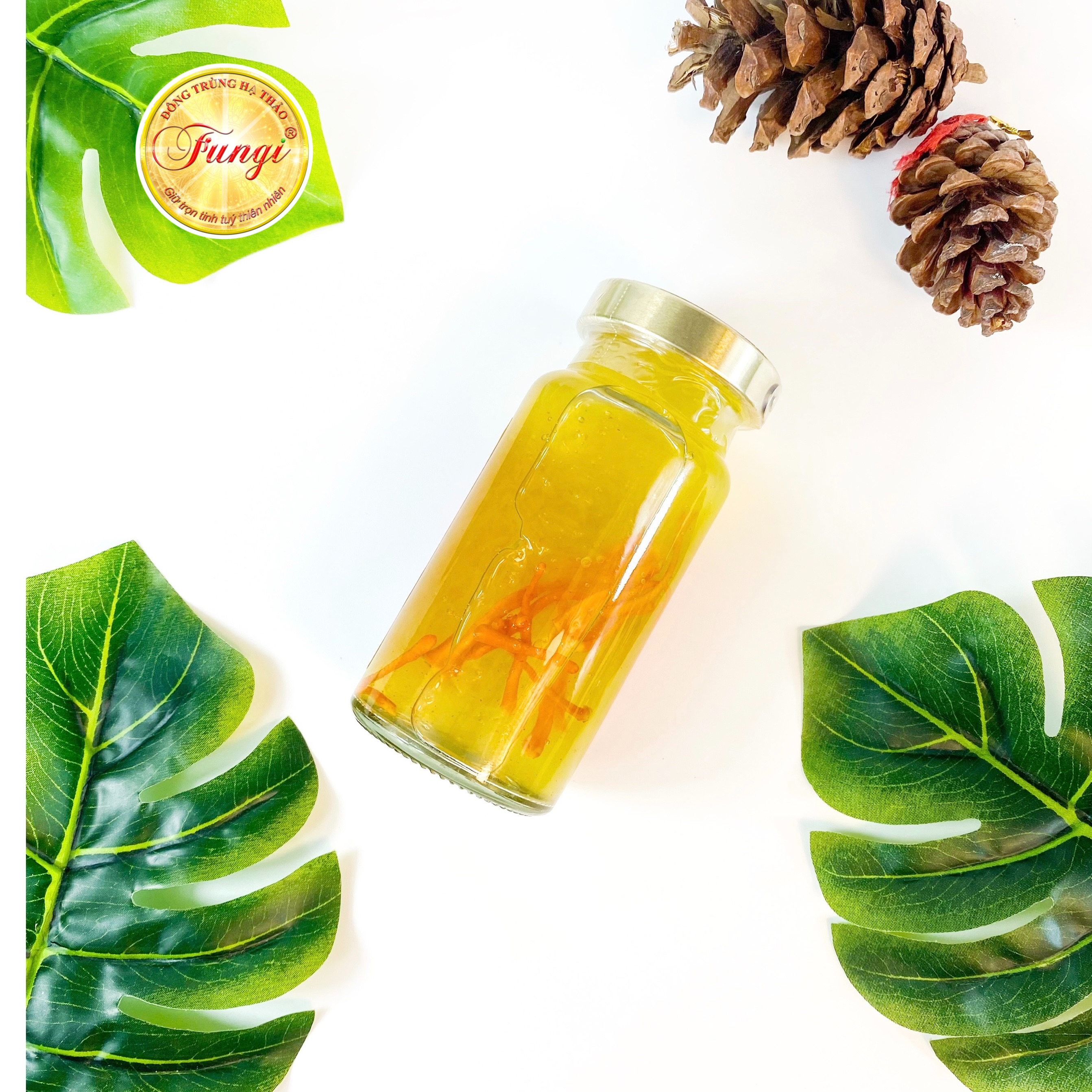 Yến Sào Đông Trùng Hạ Thảo FUNGI Hũ 140ml
