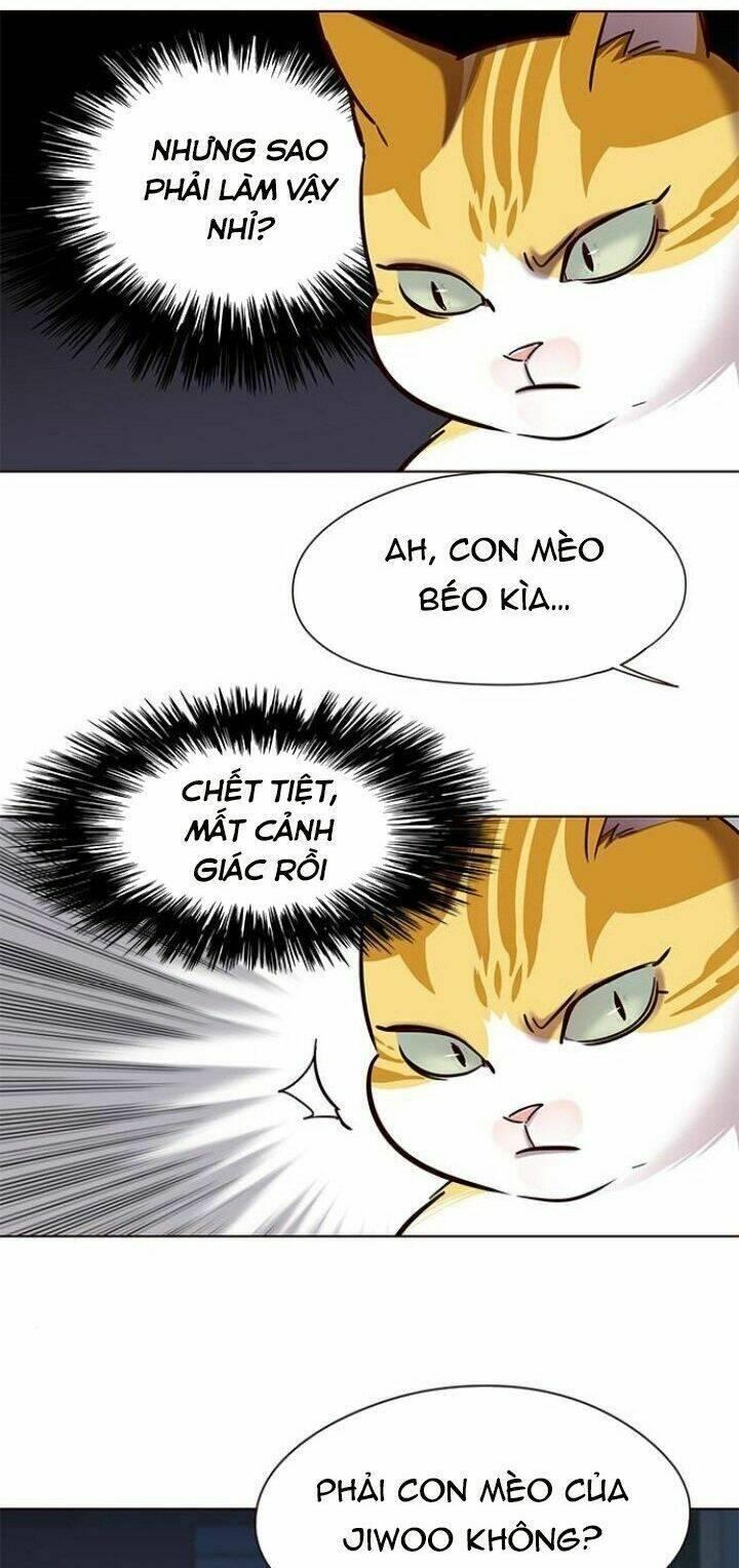 biến thân thành mèo chapter 105 11