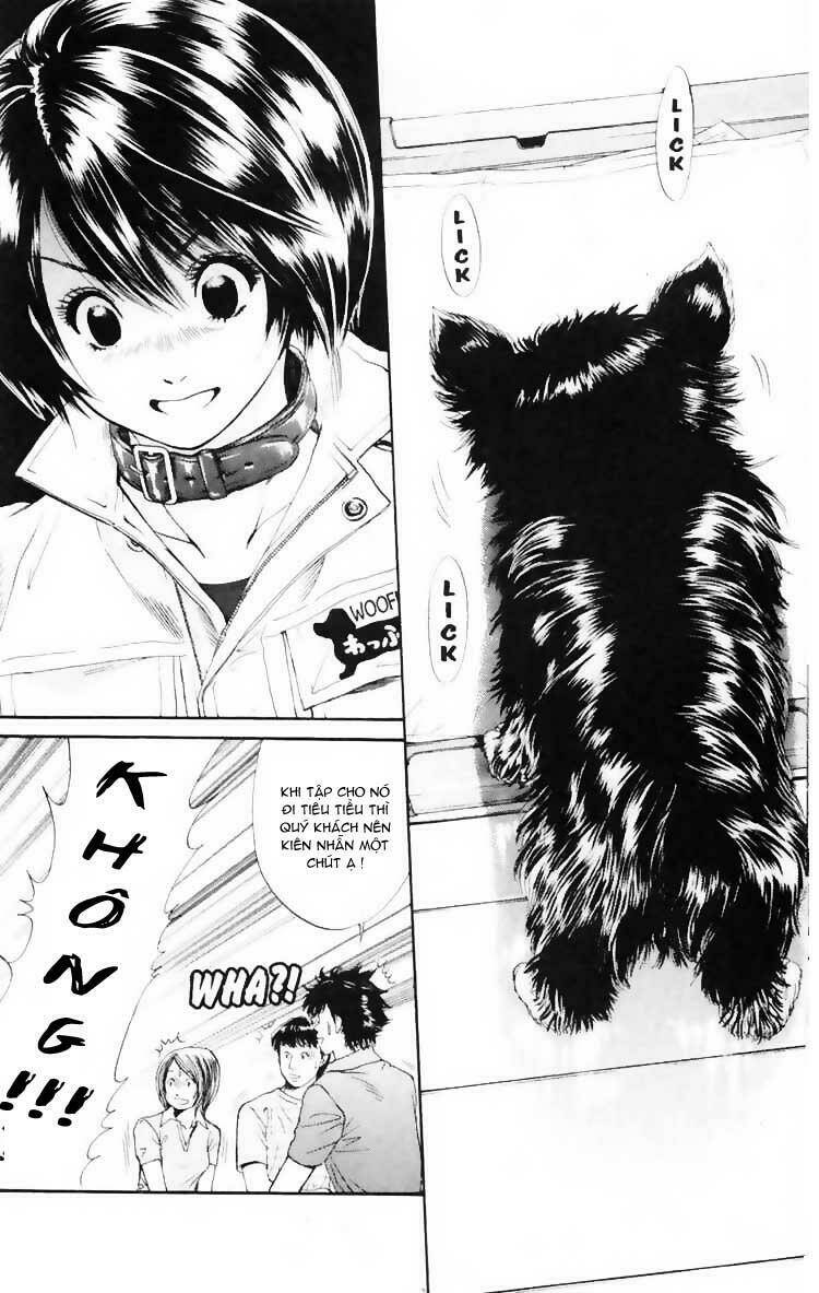 cô nàng yêu chó chapter 3 18