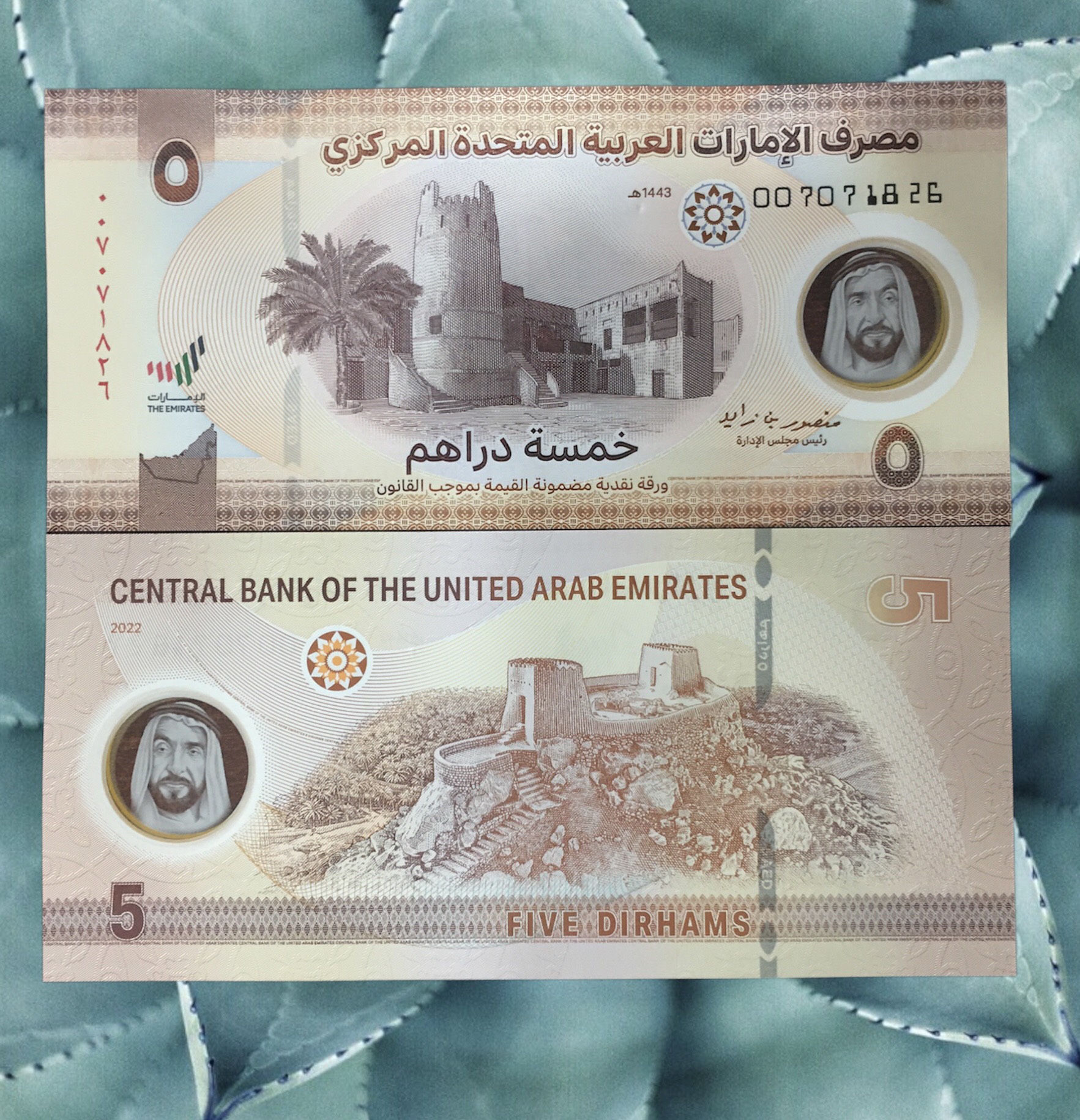 Các tiểu vương quốc Ả Rập Thống Nhất 5 Dihams UAE sưu tầm 2022 - Tiền mới keng 100%