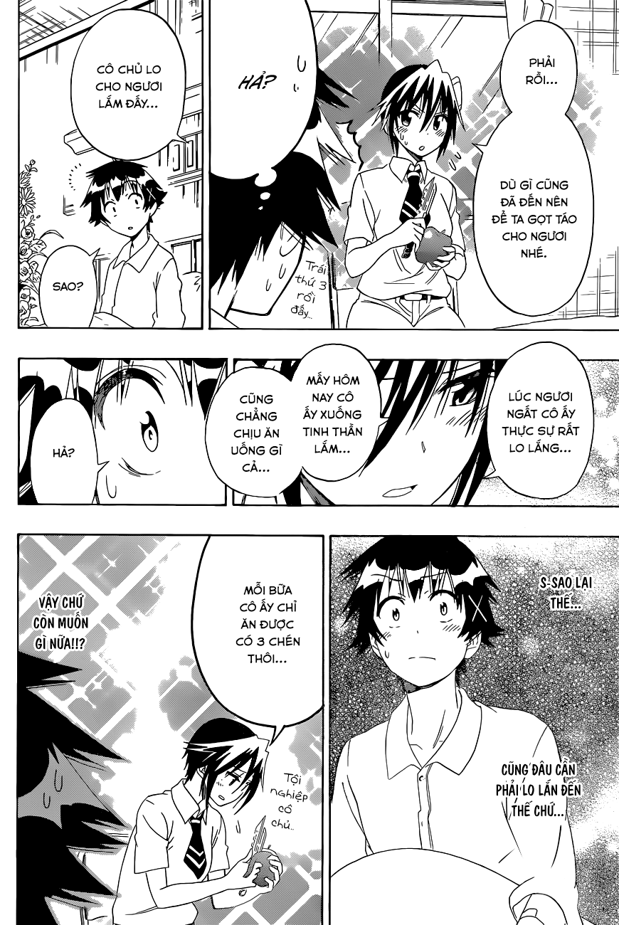 nisekoi - tình yêu giả tạo chapter 117 13