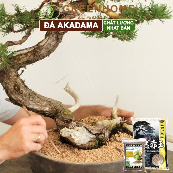 Đất Akadama, giá thể bonsai, sen đá, phân nền thủy sinh, bonsai nhiều size lựa chọn