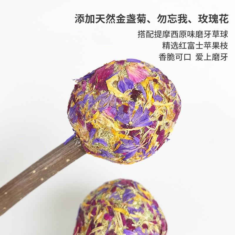 Que Cỏ Hoa cho Thỏ, Bọ và Chinchilla