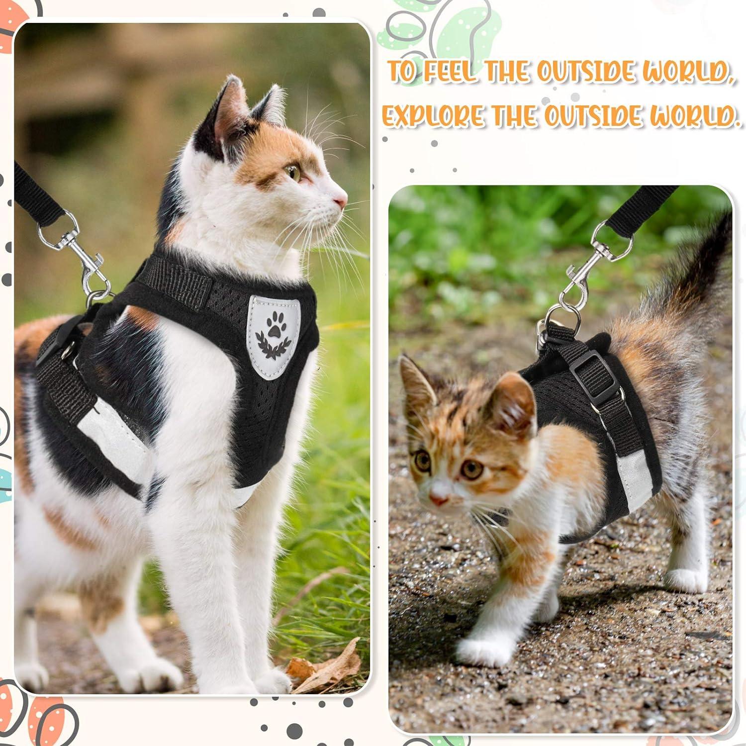 Bộ khai thác và dây xích cho chó con/ mèo khai thác có thể điều chỉnh vest chống rò rỉ trong lưới linh hoạt để lại ngực trong lưới thoáng khí cho động vật mèo