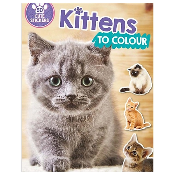 Kittens to Colour: 50 Cute Stickers