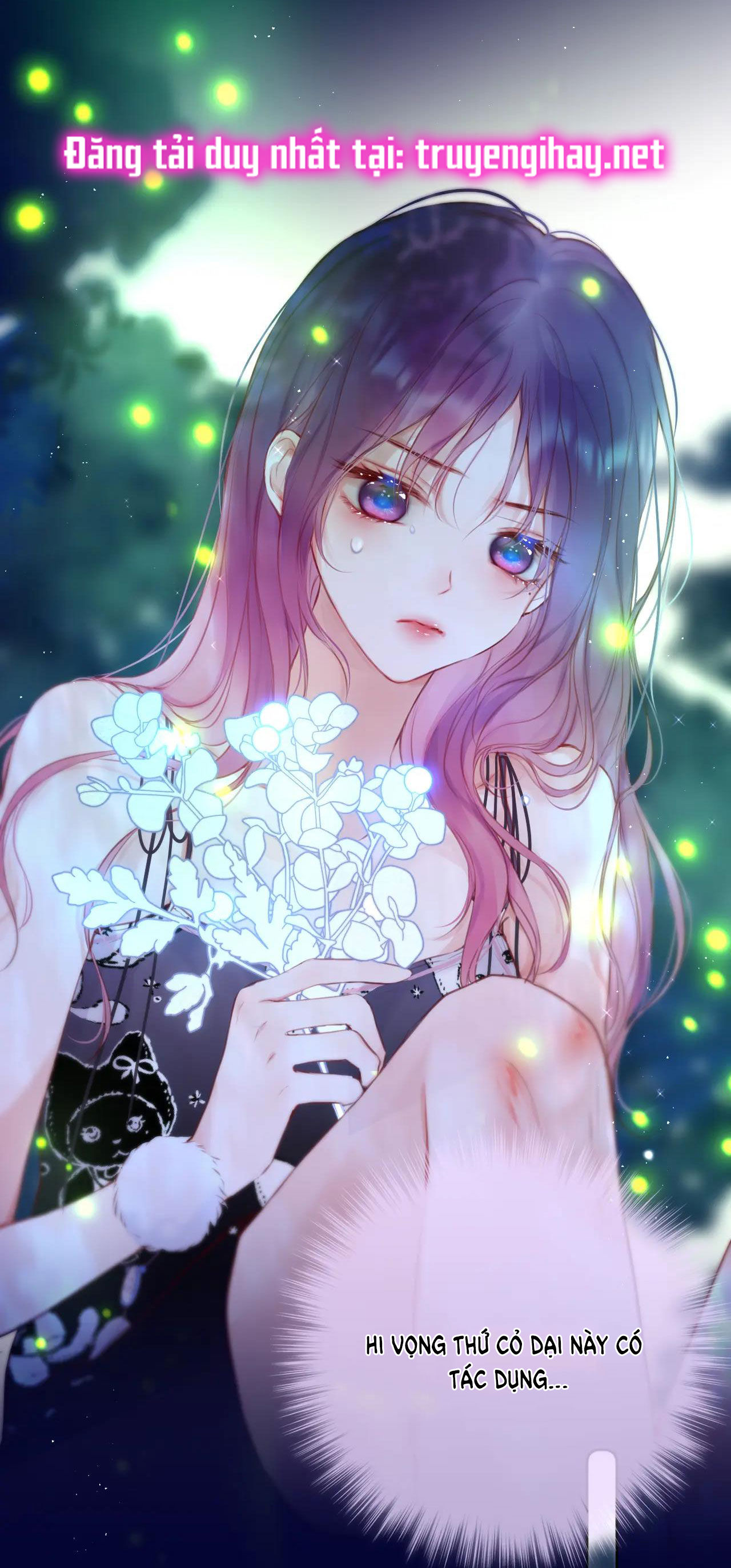 cạm bẫy của hồ ly chapter 29.1 24