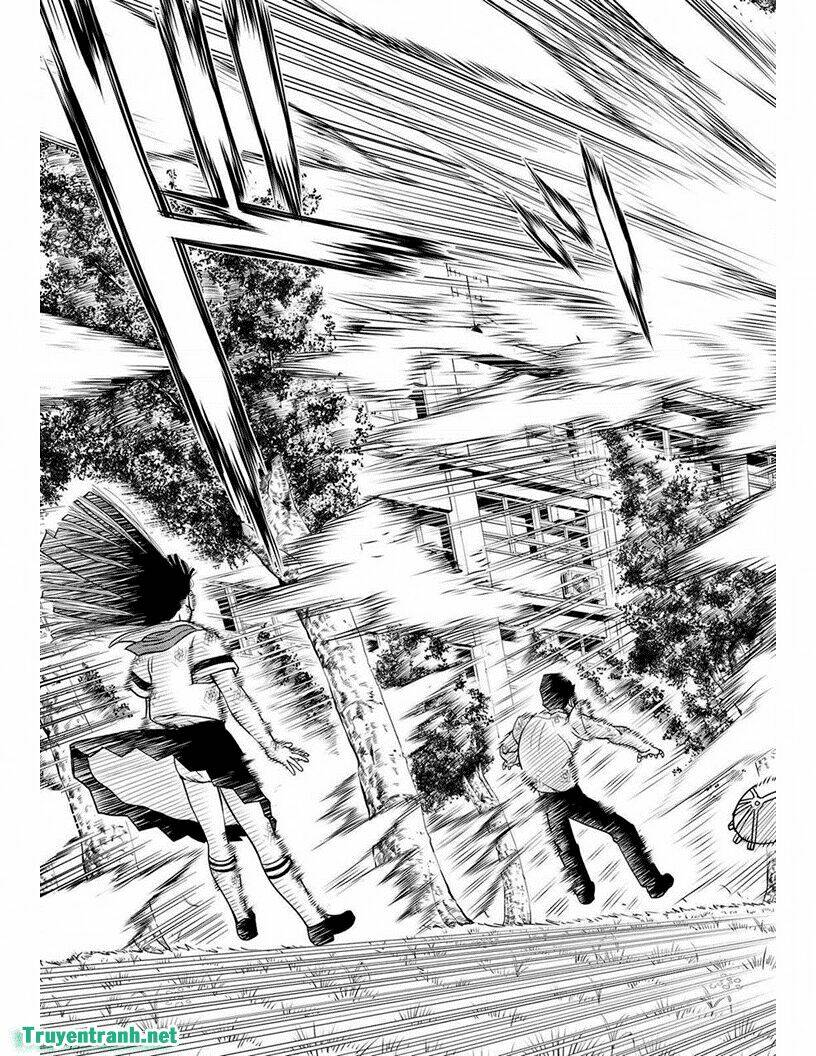vector ball chapter 19 9