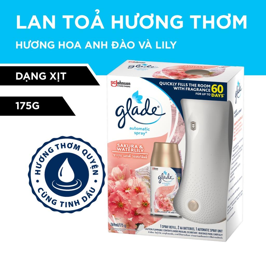 GLADE Bộ Máy &amp; Lõi Xịt thơm phòng tự động Hương Hoa Anh Đào Lily 175g