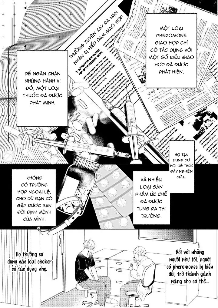 Hãy Ly Hôn Đi, Ngài Alpha chapter 1.1 - Trang 11