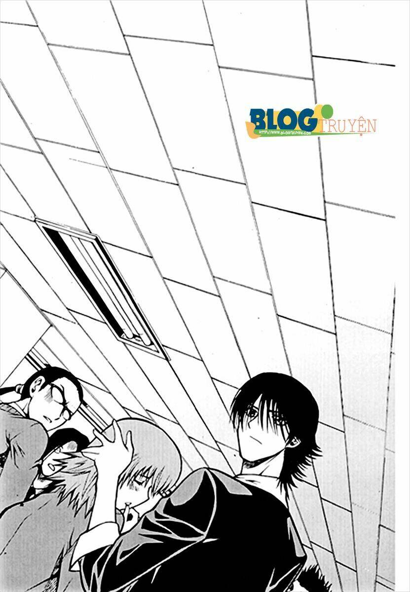 zippy ziggy chapter 44 5