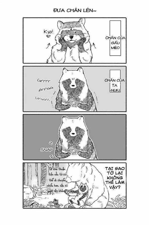 gấu và tanuki chapter 1 4