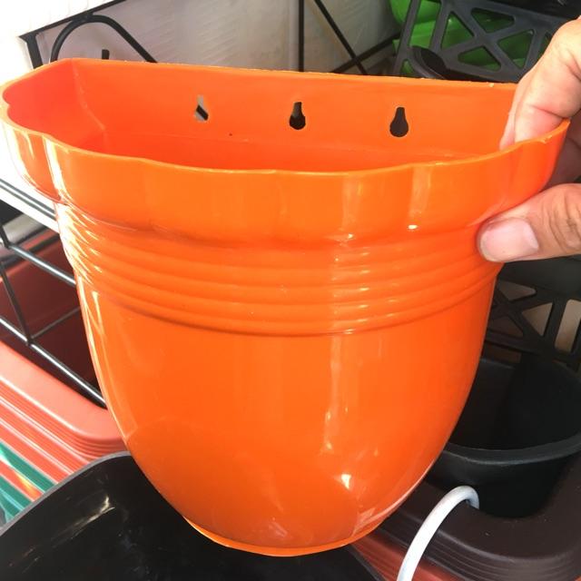 Chậu Trồng Hoa, Chậu Treo kiểng, Chậu Nhựa Ốp Tường - Ốp Vách