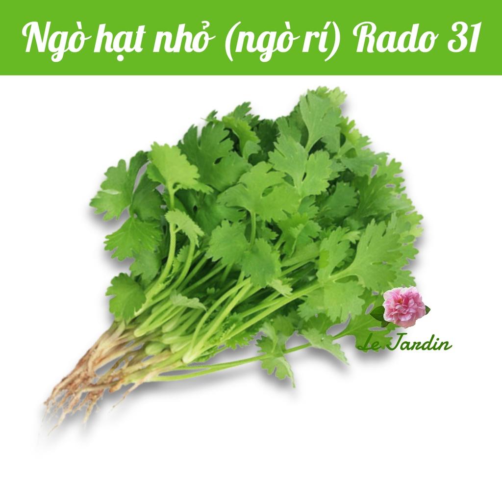Hạt giống ngò rí Rado 31 gói 20gr