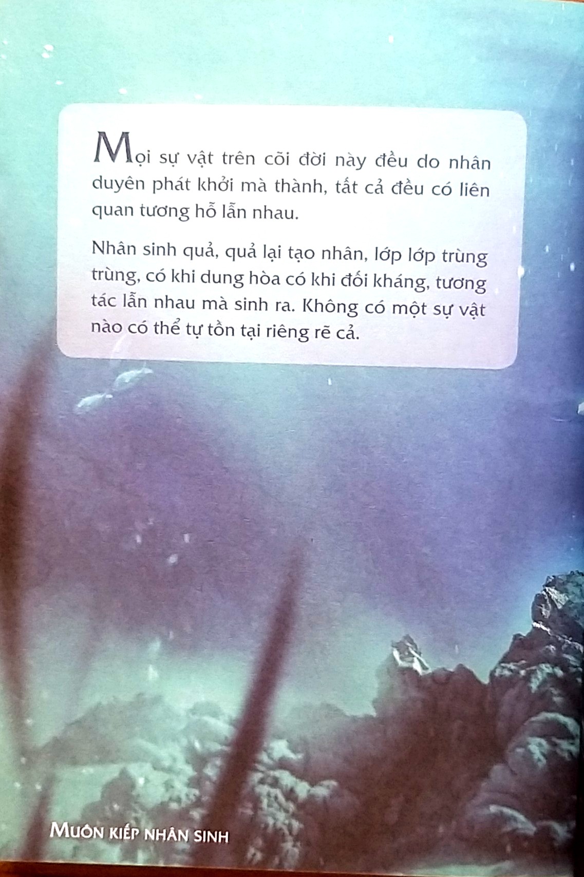 Muôn Kiếp Nhân Sinh Tập 1 - Nguyên Phong -