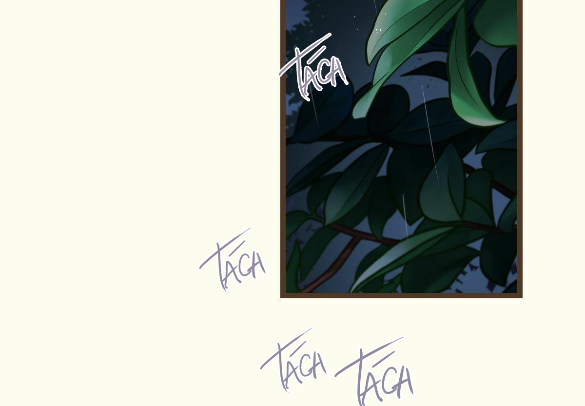 tương phùng chapter 8 153