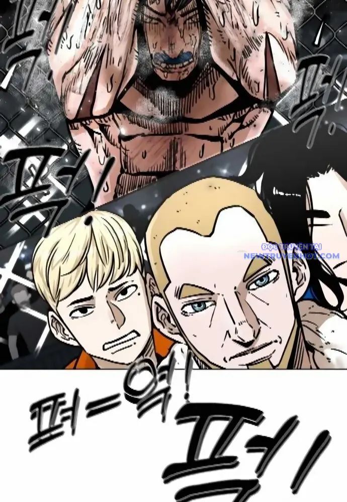 shark - cá mập chapter 279 26