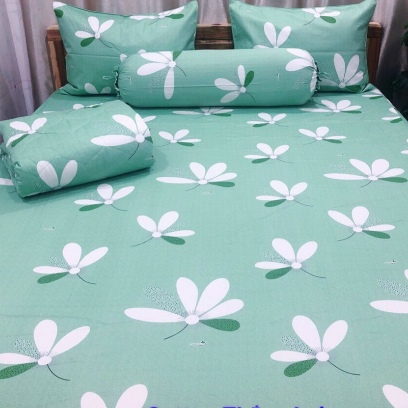 Drap cotton kèm vỏ gối