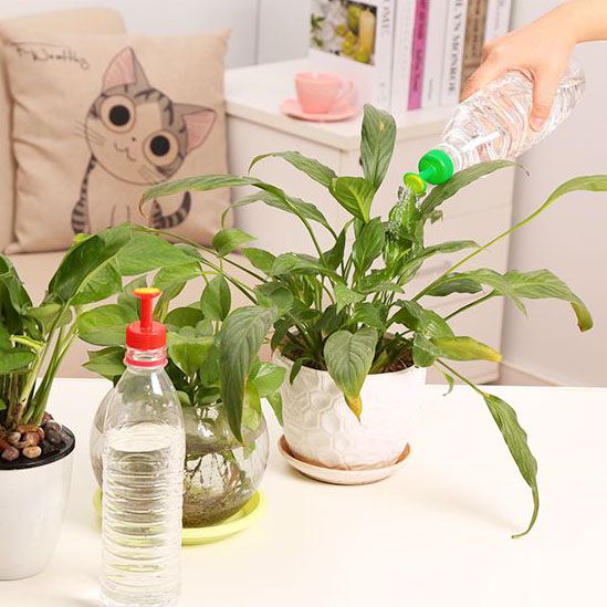 Bộ 5 đầu tưới hoa sen gắn chai nước