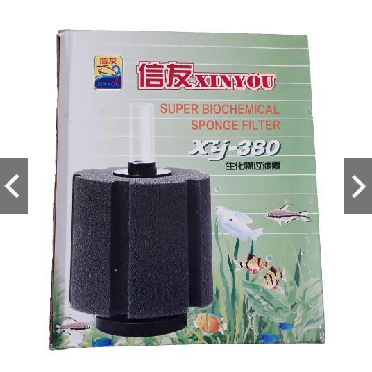 Lọc Vi Sinh Bio từ nhỏ đến lớn