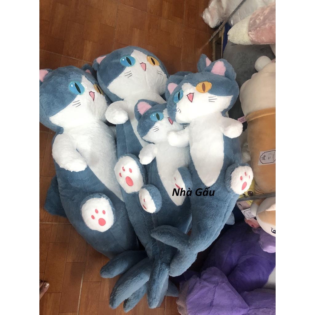 Gấu ôm cá mập mặt mèo cute / Mèo cá mập đủ size, siêu mềm mịn