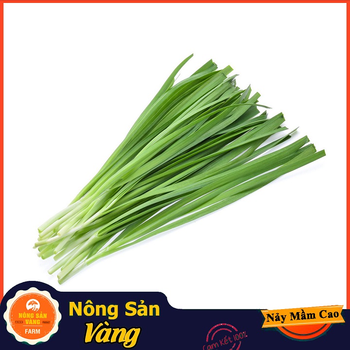 Hạt giống Rau Hẹ Ta - Nông Sản Vàng