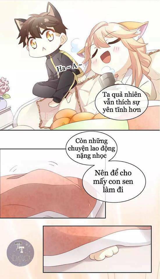 dưới móng vuốt mèo chapter 18 4