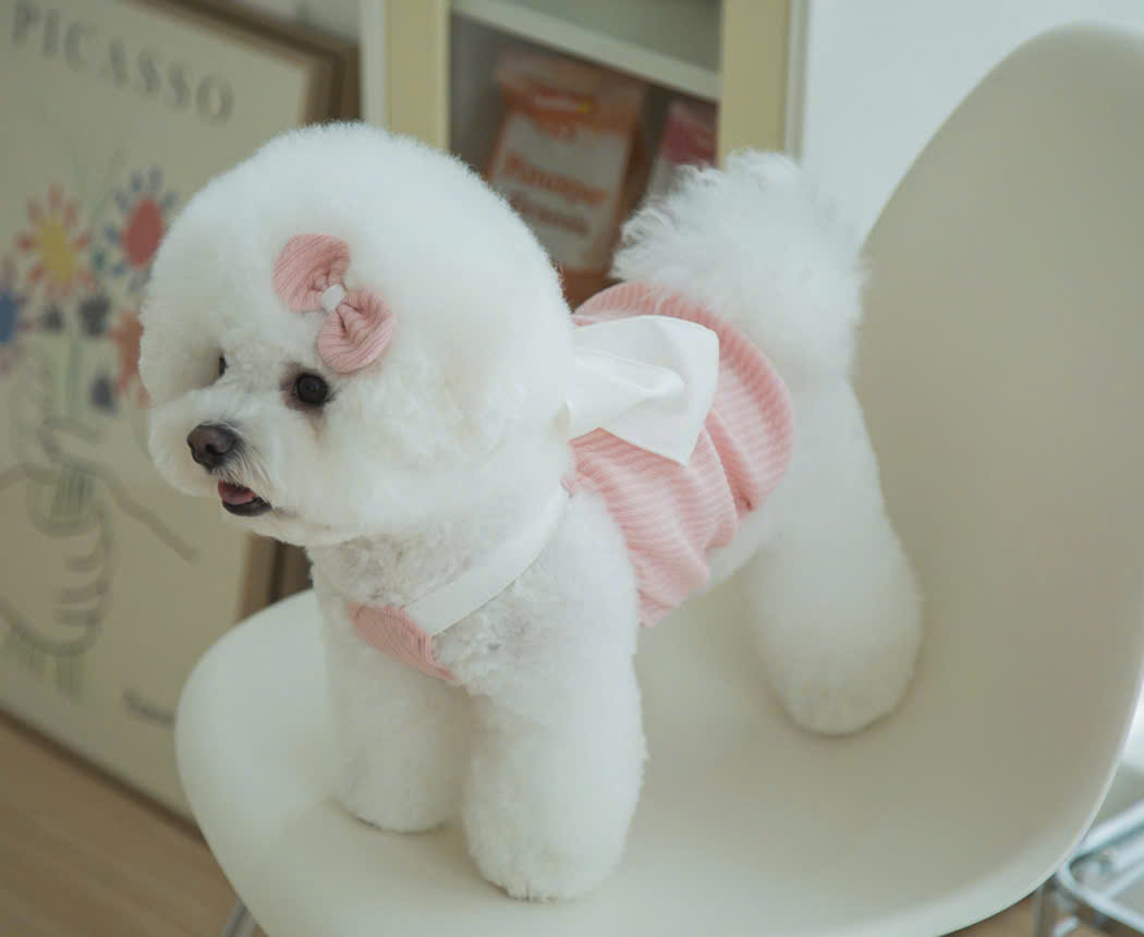 VÁY HỒNG NƠ XINH TỪ 1-7KG DÀNH CHO CHÓ MÈO