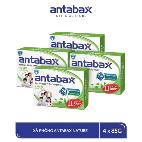 Combo 4 Xà Phòng Bảo Vệ Da Kháng Khuẩn Nature Thiên Nhiên Antabax 85g