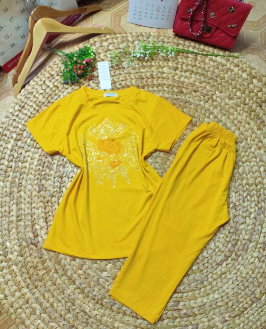 Đồ Bộ Mặc Nhà Nữ Quần Lửng Bigsize Thun Cotton Thể Thao Đẹp Dễ Thương Cute, Mặc Ngủ Đi Chơi DBN31