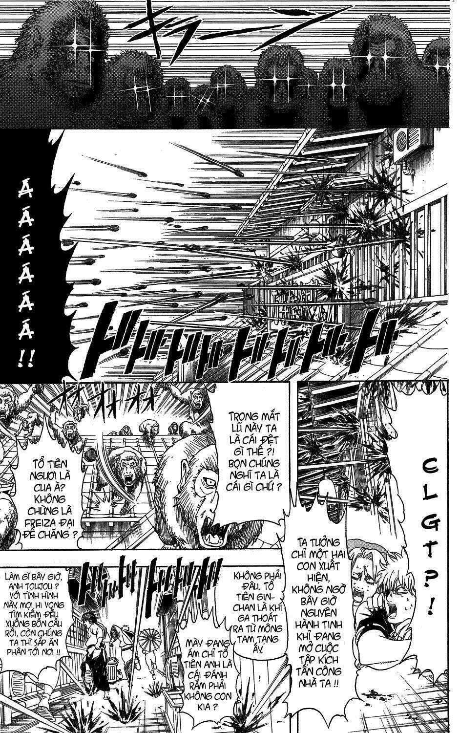 gintama - linh hồn bạc chapter 315 9