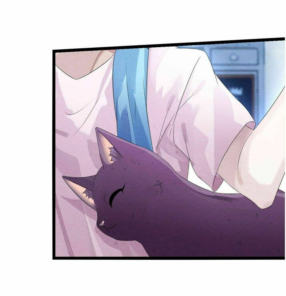 làm mèo của ta chapter 2 18