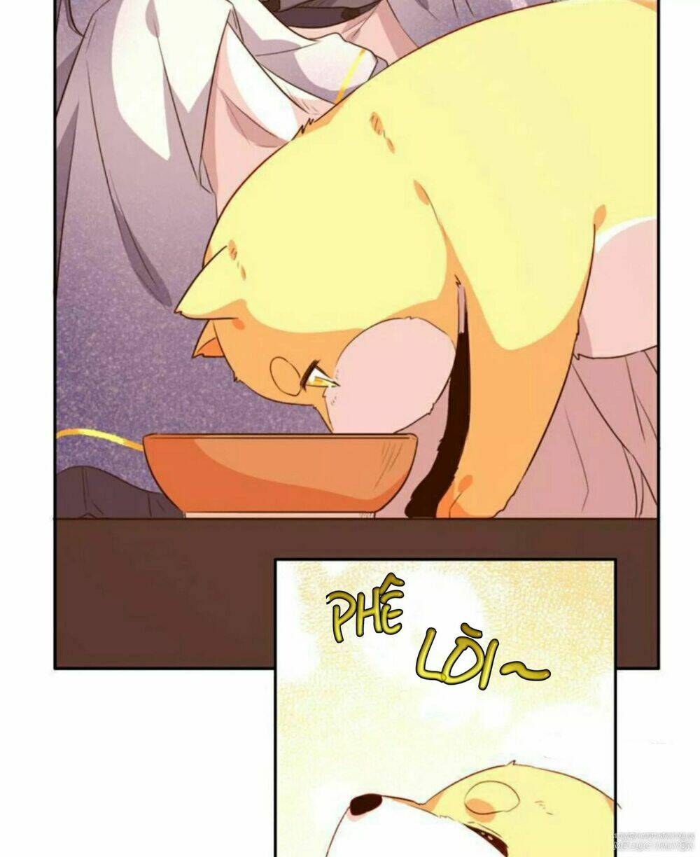 hôm nay lại cũng không thể biến thành người được chapter 6 28