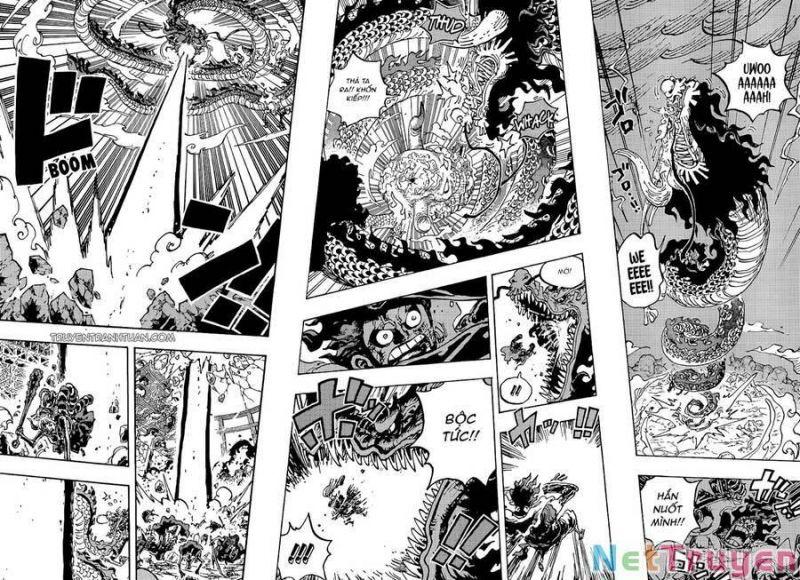đảo hải tặc - one piece chapter 1042 8